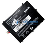 Μπαταρία για PDA PL2974186P-2S [Αντικατάσταση μπαταρίας]